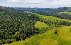 Tract E Thimbleberry Lane, Plummer, ID 83851