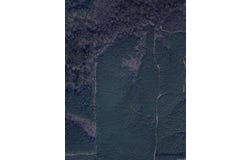 Star City, AR 71667