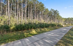 Tbd LONESTAR ROAD, Huntsville, TX 77340