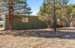 2193 ZAMORANO Lane, Overgaard, AZ 85933