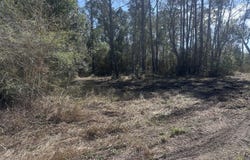 Orange Grove Road, Moss Point, MS 39562