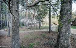 329 County Line Road, Mendenhall, MS 39114