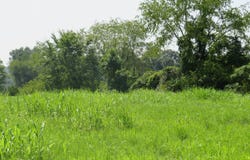 504 Nantz Road, London, KY 40741
