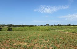 296 Cassidy, Ewing, KY 41039