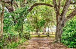 2713 CR 776, WEBSTER, FL 33597