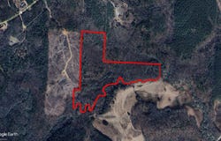 COUNTY ROAD 25, Lynn, AL 35575