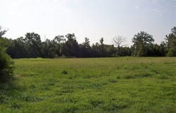 1531 RANKIN ST, Ashdown, AR 71822