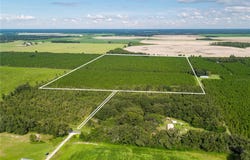 19000 COUNTY ROAD 349, O'BRIEN, FL 32071
