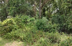 8488 E Henderson Trail, Inverness, FL 34450