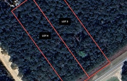 Lot 3 Matthews, Tennille, GA 31089