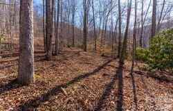 1248 Arborcrest Way, Swannanoa, NC 28778