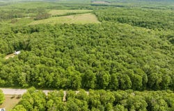 Parcel A Mancelona Road, Mancelona, MI 49659