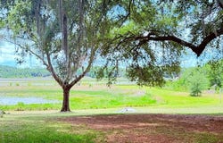 115 2ND STREET, MELROSE, FL 32666