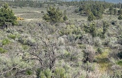 Council Butte, Sprague River, OR 97639