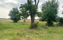 Cherokee Area, Cherokee, OK 73728