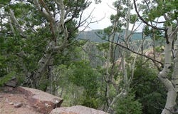 67 Ajax Court, Cripple Creek, CO 80813