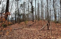 Rhododendron Drive lot: 12, Saluda, NC 28773
