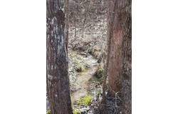 300 Co Rd 191, Waterloo, AL 35677
