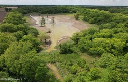Jenkins Road, Alligator, MS 38720