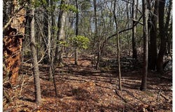 0 Timber Ridge Road, Millers Creek, NC 28651