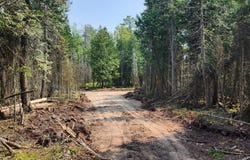3 W SHIAWASSEE TRL, HESSEL, MI 49745
