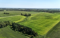 TBD Bare Land 110th St, Fredericksburg, IA 50630