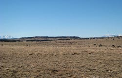 Par 12 Wildflower Rd, Pueblo, CO 81004