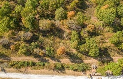 Lot 31 Peaceful  PL, Harrison, AR 72601
