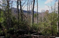 4350 Carolina Cove Way, Pigeon Forge, TN 37863