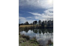 39 Acres County Road 71, Lexington, AL 35648