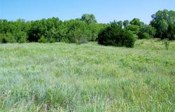Mesquite Drive, Lawton, OK 73505