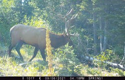 TBD FS Road 195, Red Feather Lakes, CO 80545