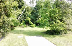 29700 Belfast Street, Farmington, MI 48336