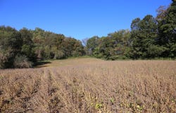 Gaslight Ave, Sparta, WI 54656