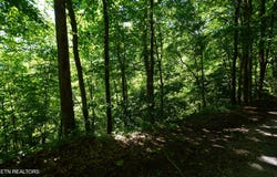 Love Colony Rd, Smithville, TN 37166