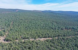 TBD Pecos, Pecos, NM 87552