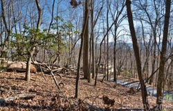 9999 Walnut Drive, Mills River, NC 28759