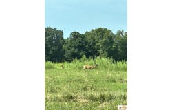 Antioch Church Road, Alvaton, KY 42122