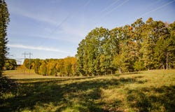 006 Highway 32, Stockton, MO 65785