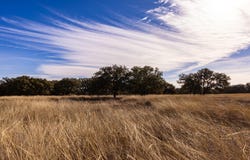 Legacy Oaks Dr lot: 15, Harper, TX 78631
