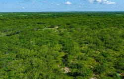 000 County Road 241, Three Rivers, TX 78071