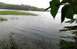 N9009 DEER TR, Tomahawk, WI 54487