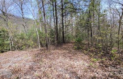 26 Lacy Fern Ridge, Sylva, NC 28779