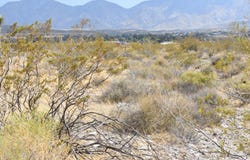 13134 E Ave V2, Pearblossom, CA 93553