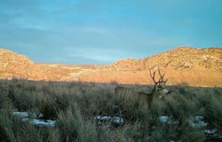 Tbd Highway 40, Dinosaur, CO 81610