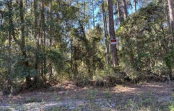 125 E Boundary Drive, Georgetown, FL 32139