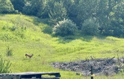 00 N 25 Road, Mesick, MI 49668