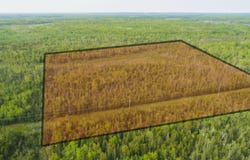 Off Big Cut Highway, Millersburg, MI 49759