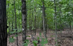 M13 L18-b Fish Road, Anson, ME 04911