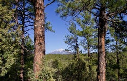 23251 Spirit Mountain Dr, Aguilar, CO 81020